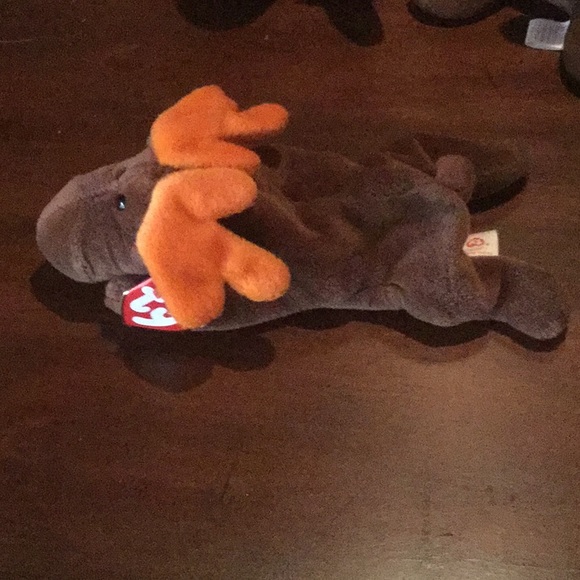 Chocolate the Moose Beanie Baby - Picture 2 of 4